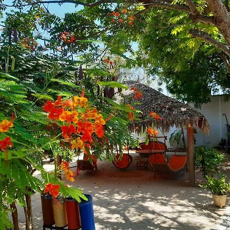 Pousada Do Fred Barra Grande (Piaui) Exterior foto